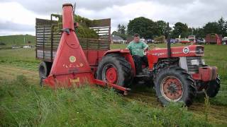 Real Grassmen Single Chop Forage Harvester silage World Record 2011 Dunmore Co Galway [upl. by Hogue457]