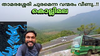 താമരശ്ശേരി ചുരമെന്ന വന്മരം വീണു  kolli hills  കൊല്ലിമല  kolli hills malayalam  salem [upl. by Etyam285]