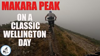 Makara Peak Mountain Bike Park on a classic Wellington day [upl. by Adnahsat]