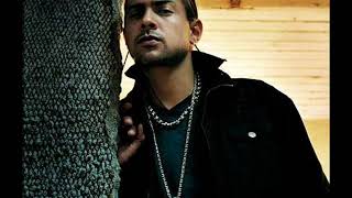 Sean Paul  We Be Burnin Legalize It Subtitulada en Español [upl. by Dunson821]