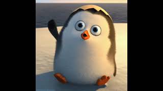 Penguin Song  Funny Cartoons 3D [upl. by Venezia]