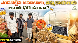 Solar Dryer unit in Nellore tomatoes drying lemon drying pmfme apfps dehydrated marketing [upl. by Malaspina]