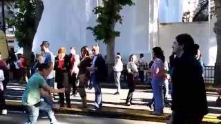 Buenos Aires celebra Líbano 2016  Dabke en la calle [upl. by Korney]