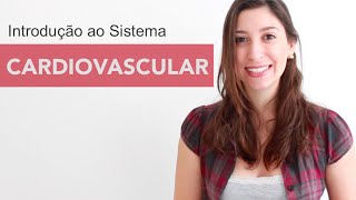 Sistema Cardiovascular 16 Introdução  Anatomia e etc [upl. by Araes]