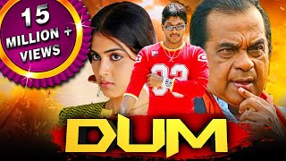 Dum HD  साउथ की ज़बरदस्त कॉमेडी फिल्म Allu Arjun Brahmanandam Genelia DSouza Manoj Bajpayee [upl. by Tezil]