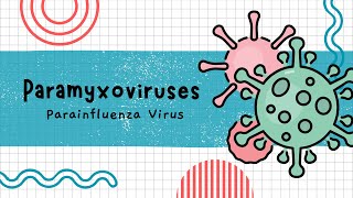 Parainfluenza Virus [upl. by Neirod]