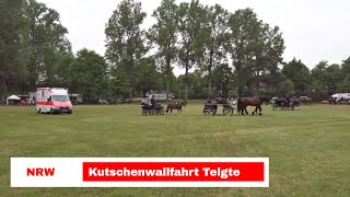 Pferd und Kutsche auf der Kutschenwallfahrt in Telgte [upl. by Sibyl]