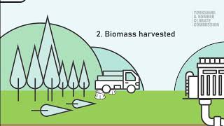 What is bioenergy with carbon capture and storage BECCS [upl. by Euh]