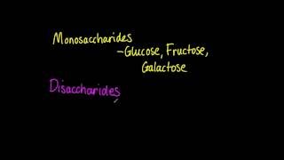 323 List three examples each of monosaccharides disaccharides and polysaccharides [upl. by Terrence]