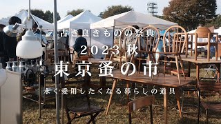 【東京蚤の市2023】古き良きものを探しに日本最大級の蚤の市へアンティーク購入品紹介食器古道具 [upl. by Medwin]