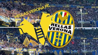 Hellas Verona FC  ACF Fiorentina  Support Curva Sud  I Gialloblu  050524 [upl. by Viva]