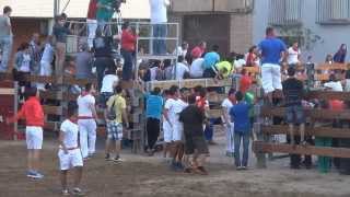 ENCIERRO DESDE LA PLAZA DE TOROS DE RIBAFORADA NAVARRA 25 08 2013 [upl. by Haas]