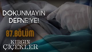 Kızlar mafyanın elinden kurtulabilecek mi  Kırgın Çiçekler 87Bölüm [upl. by Nakada]