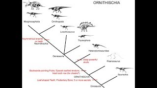 Ornithischia [upl. by Ariat]