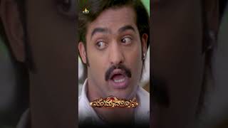 NTR amp Mamta Mohandas Romantic Comedy  Yamadonga  shorts  youtubeshorts  SriBalajiVideo [upl. by Aneetsirk]