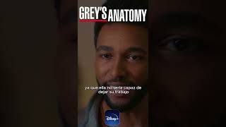 📣 GREYS ANATOMY temporada 19 YA DISPONIBLE en mi CANAL 🍿 greysanatomy anatomiadegrey [upl. by Furey]