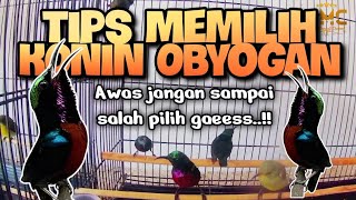 Tips Mememilih KONIN obyogan Prospek lapang [upl. by Luar]