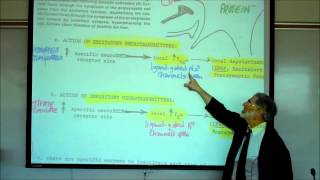 SYNAPTIC TRANSMISSION IN THE CNS PART 1 by Professor Fink [upl. by Binette]