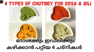 4 Types of Chutney For Dosa and Idli Malayalamദോശക്കും ഇഡ്‌ലിക്കും കഴിക്കാൻ പറ്റിയ 4 ചട്നികൾ [upl. by Howlan]