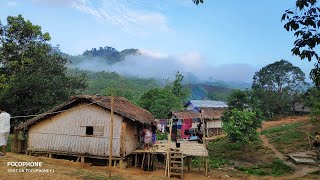 Jina para জিনাপাড়া bandarban  morning in jina para  Beautiful view bandarban [upl. by Roch]