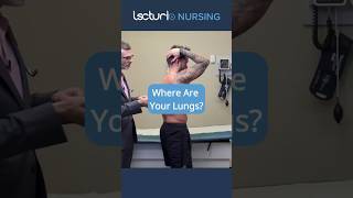 Understanding Lung Location for Auscultation 🫁 nclexrn nurseeducator [upl. by Crellen437]