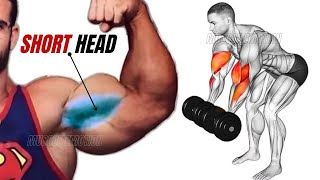 TOP 4 SHORT HEAD BICEPS WORKOUT WITH DUMBBELLS BARBELL AND CABLE ONLY AT GYM [upl. by Haimrej]