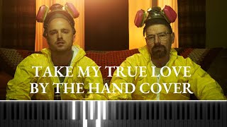 Breaking Bad  Take My True Love By The Hand Cover [upl. by Tillio]