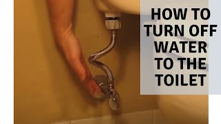 DIY How to Turn off toilet water supply [upl. by Zaraf]