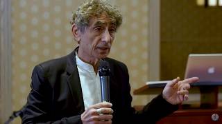 Dr Gabor Maté Speaks to Psychotherapists [upl. by Larine81]