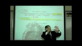 DIGESTIVE SYSTEM PART 5 THE INTESTINE amp ABSORPTION by Professor Fink [upl. by Nadnerb564]