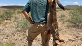 July 2024 SEAZ coyote hunt [upl. by Uriiah]