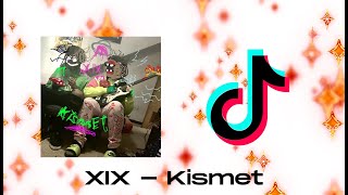 XIX  Kismet TikTok Song Molly rocks in my green tea [upl. by Nnoryt490]