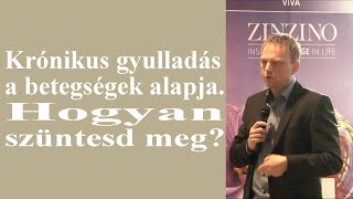 Krónikus gyulladás a betegségek alapja Hogyan szüntesd meg  Dr Szűcs Zoltán [upl. by Trellas]