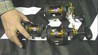 Daiwa Saltist Black Gold Star Drag Reels  JampH Tackle [upl. by Eeliram]