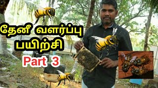 நாட்டு தேனீ பூச்சி வளர்ப்பு பயிற்சி Part 3  Honey Bee training farm part 3  apiculture training [upl. by Fonz]