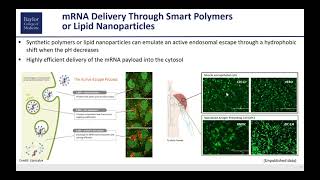 Dr Noah D Cohen and Dr Jeroen Pollet  Rhodococcus equi and treating it with inhalation therapy [upl. by Millar]