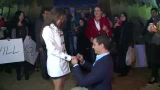 Rita amp Ribals Proposal quot Jbeil Christmas Tree quot [upl. by Odinevneib]