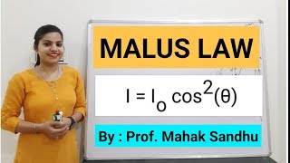 Malus Law  Optics [upl. by Neelyhtak]