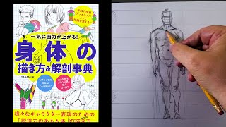 How to Draw Anime amp Manga Bodies amp Anatomy Part 1 [upl. by Stag685]