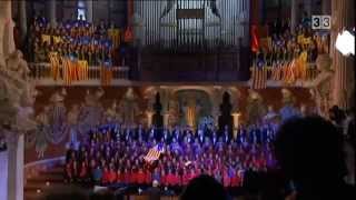 El Cant de la Senyera  Palau de la Música  2012 [upl. by Savvas84]