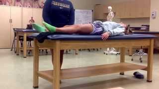 Patellar Tendon Rupture Rehab 04 weeks [upl. by Nairda417]