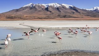 Bolivia 10 Interesting Facts  Country Facts [upl. by Aizahs662]