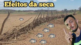 seca no sertão nordestino [upl. by Beaver483]