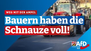 Weg mit der Ampel Bauern haben die Schnauze voll [upl. by Osnola]