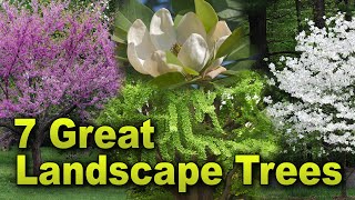 Seven Great Landscape Trees–Family Plot [upl. by Basset]