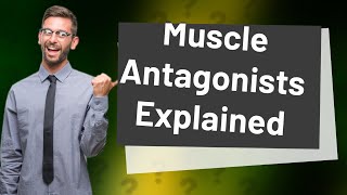 What muscle is antagonist to gracilis [upl. by Trovillion371]