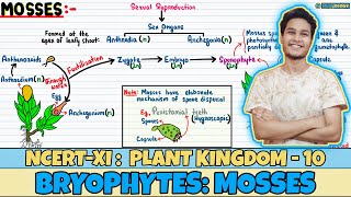 Plant Kingdom Lec 10 Bryophytes Mosses Class 11 NEET Neetology [upl. by Erdried]