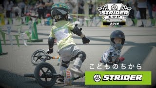 【ストライダーカップ公式】「いっしょに行こう」 [upl. by Ennaeerb103]