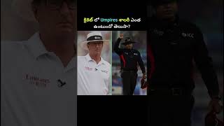 Cricket లో Umpires కి ఎంత జితం ఉంటుందో తెలుసా cricket cricketumpire cricketvideos [upl. by Wells]