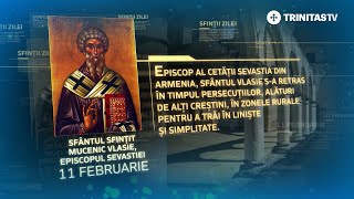 Sfântul Sfințit Mucenic Vlasie episcopul Sevastiei – 11 februarie Sinaxar [upl. by Naginnarb818]